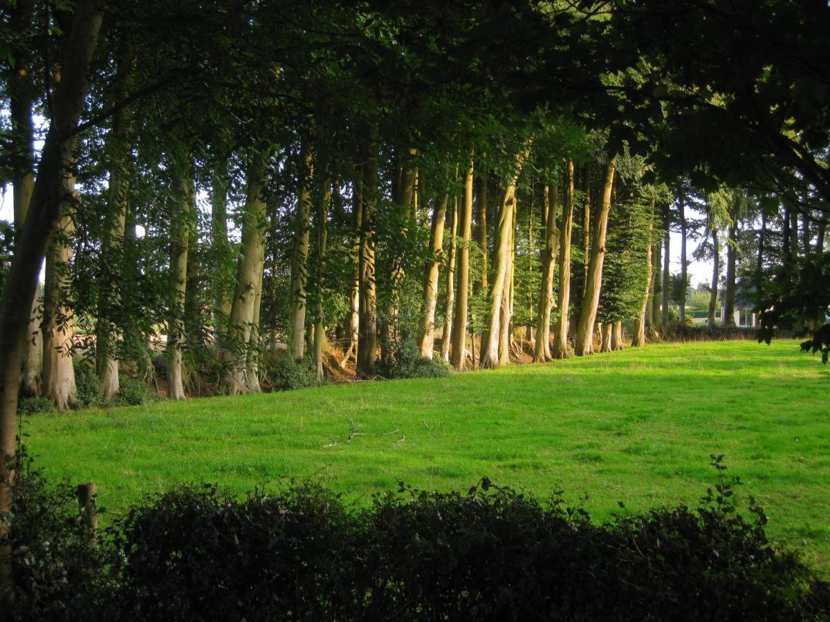 Château de Cleuville Exterior foto